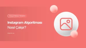 Instagram Algoritması Nasıl Çalışır