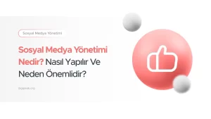 Sosyal Medya Yönetimi Nedir