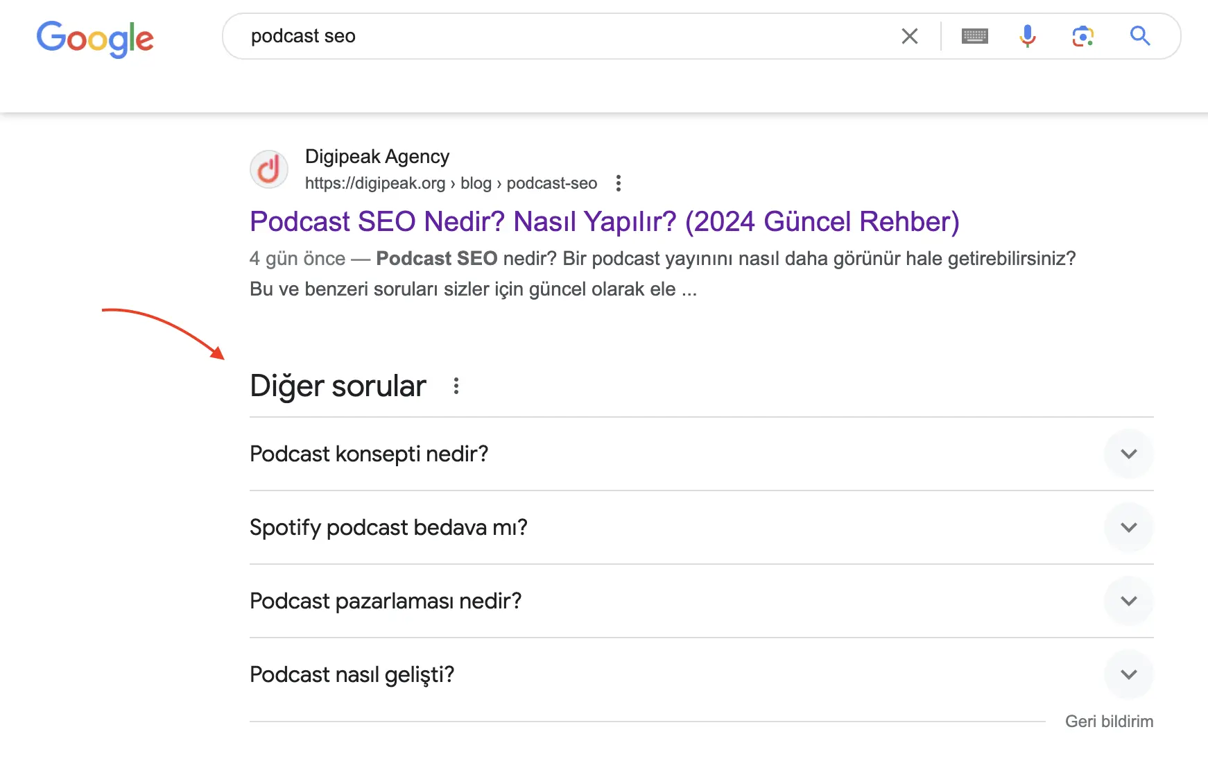 google diğer soruların seo ya faydası