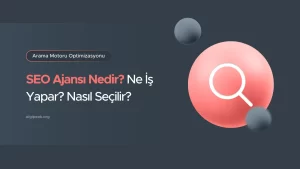 seo ajansı nedir