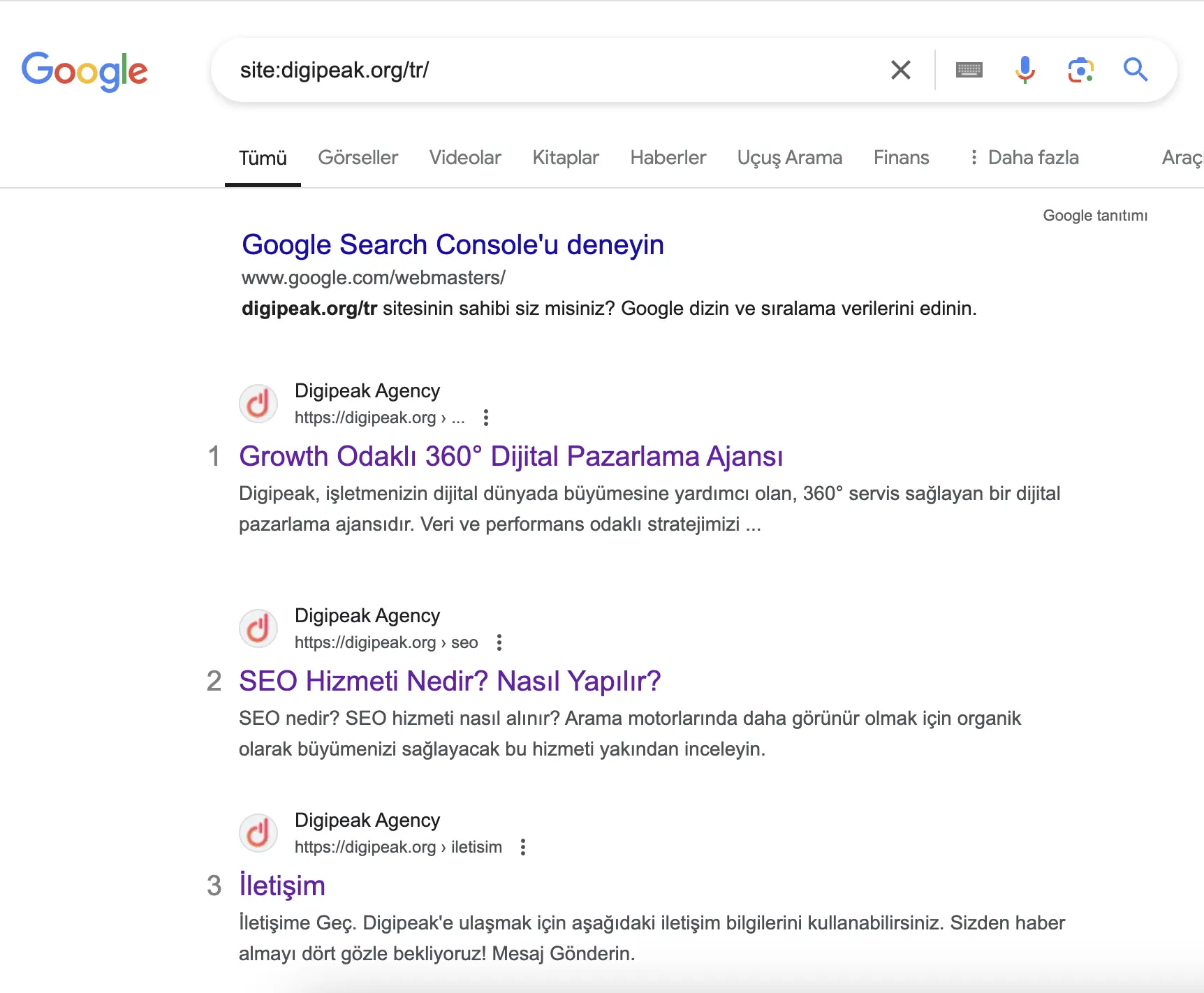 Google site sonuçlarını sorgulama