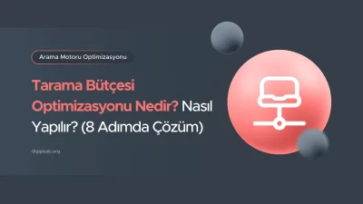 Tarama Bütçesi Optimizasyonu Nedir