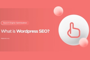 What is WordPress SEO? Details & Bonus Checklist !