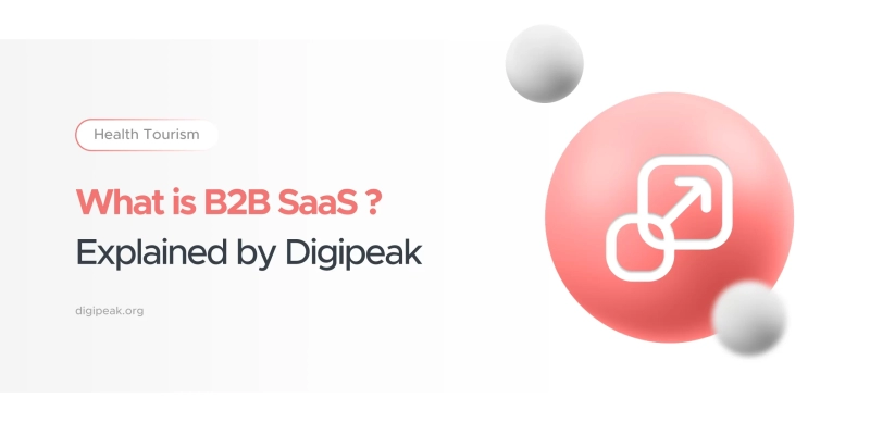 What is B2B SaaS ? Explained by Digipeak